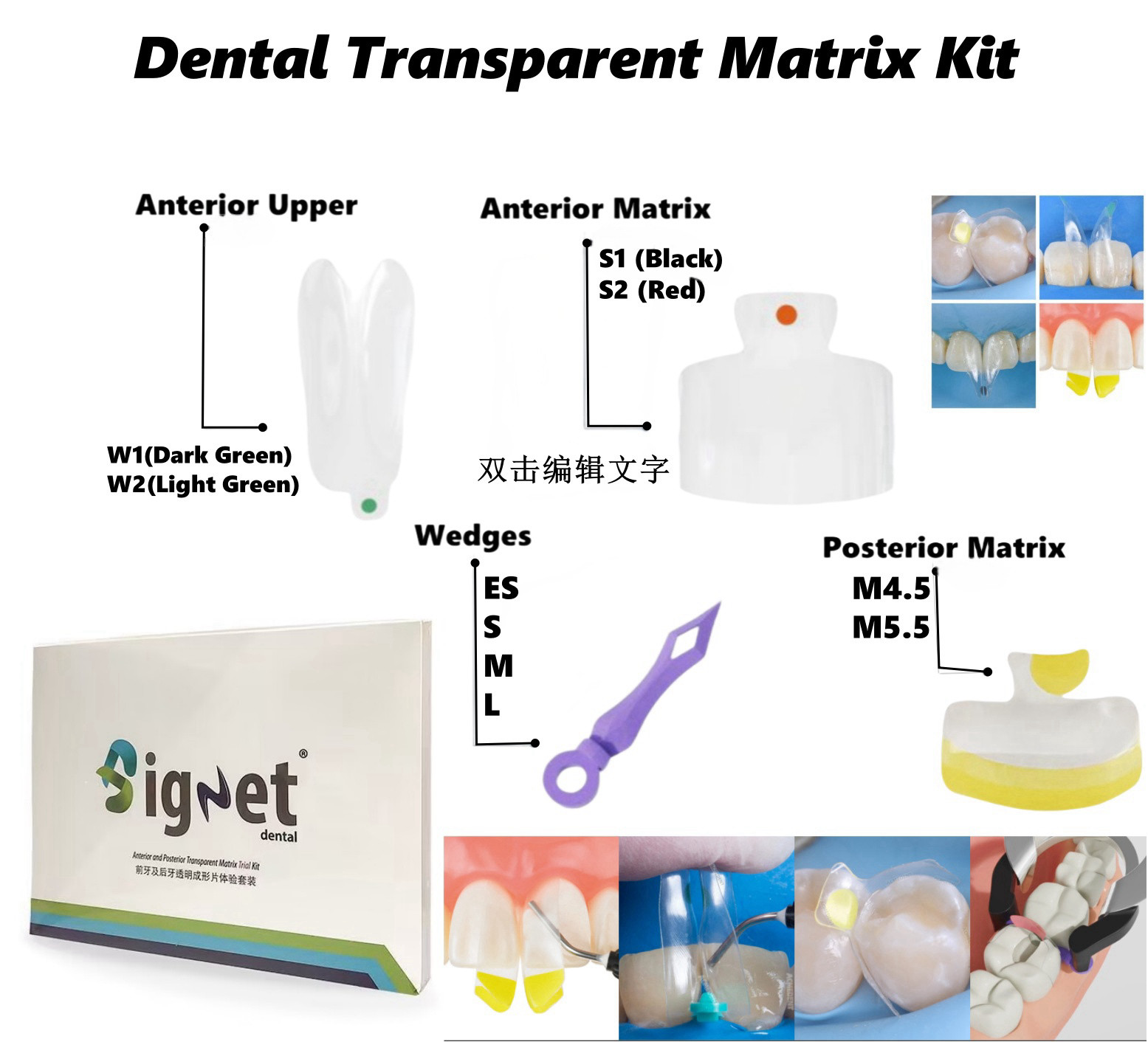 Dental Signet Anterior and Posterior Transparent Matrix Triall Molding Kit