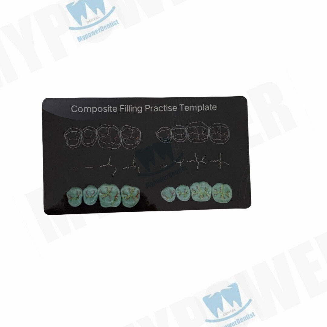 Dental Cavity Preparation/Vitro Decay Caries Model/Composite Resin Filling Model