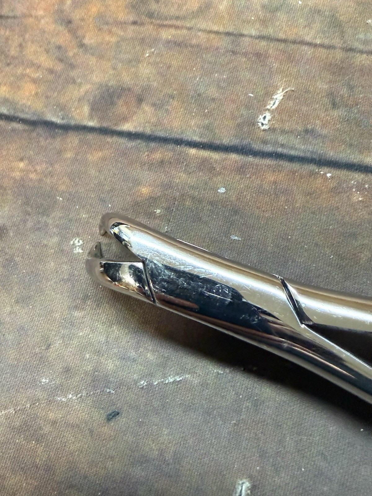 Henry Schein Cowhorn Forceps – #23