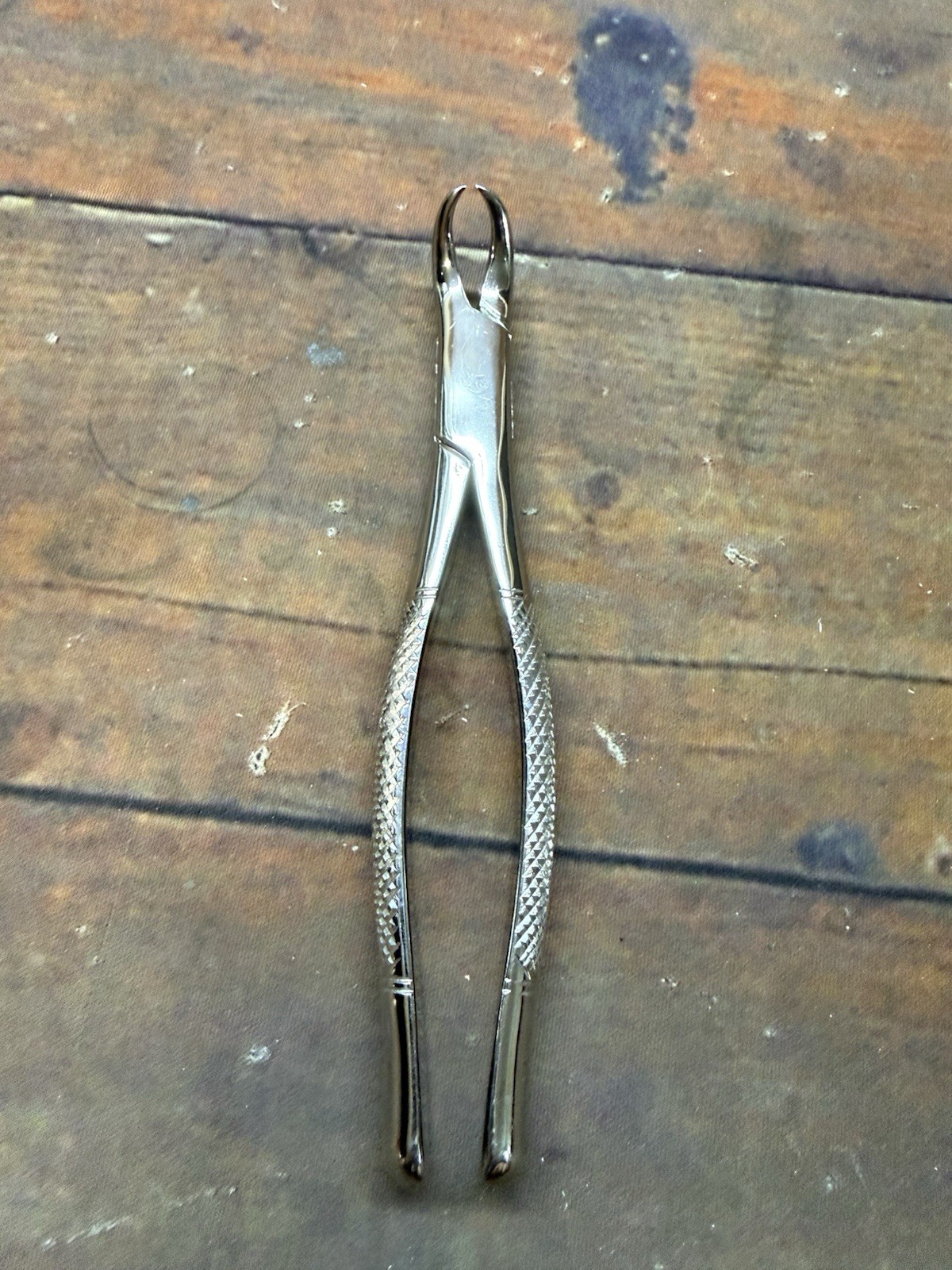 Henry Schein Cowhorn Forceps – #23