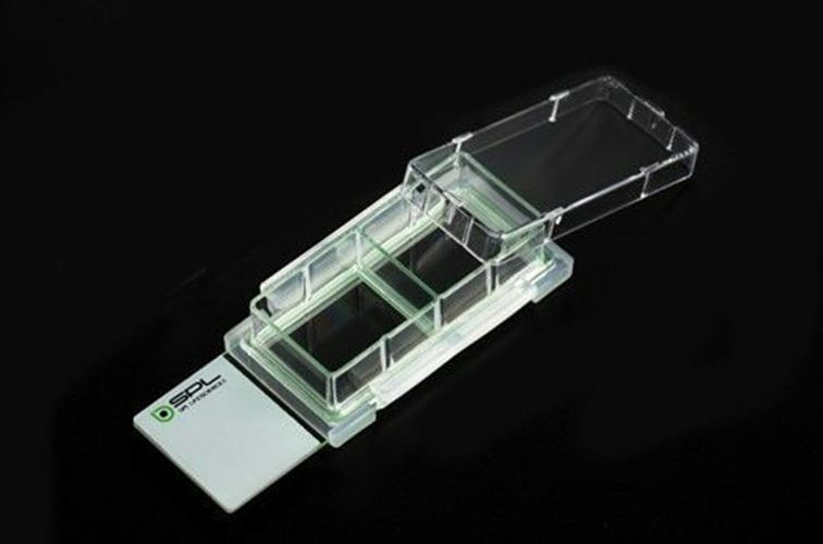 SPL Cell Culture Chamber slide, 2 wells, glass slide, PS frame, PP holder, 12/Cs