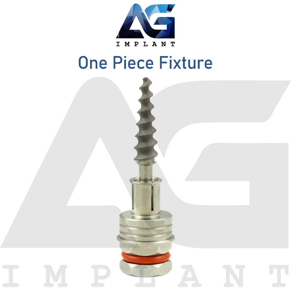 10 One Piece Fixture System Titanium Prosthetic Integrated SLA Surface Dental