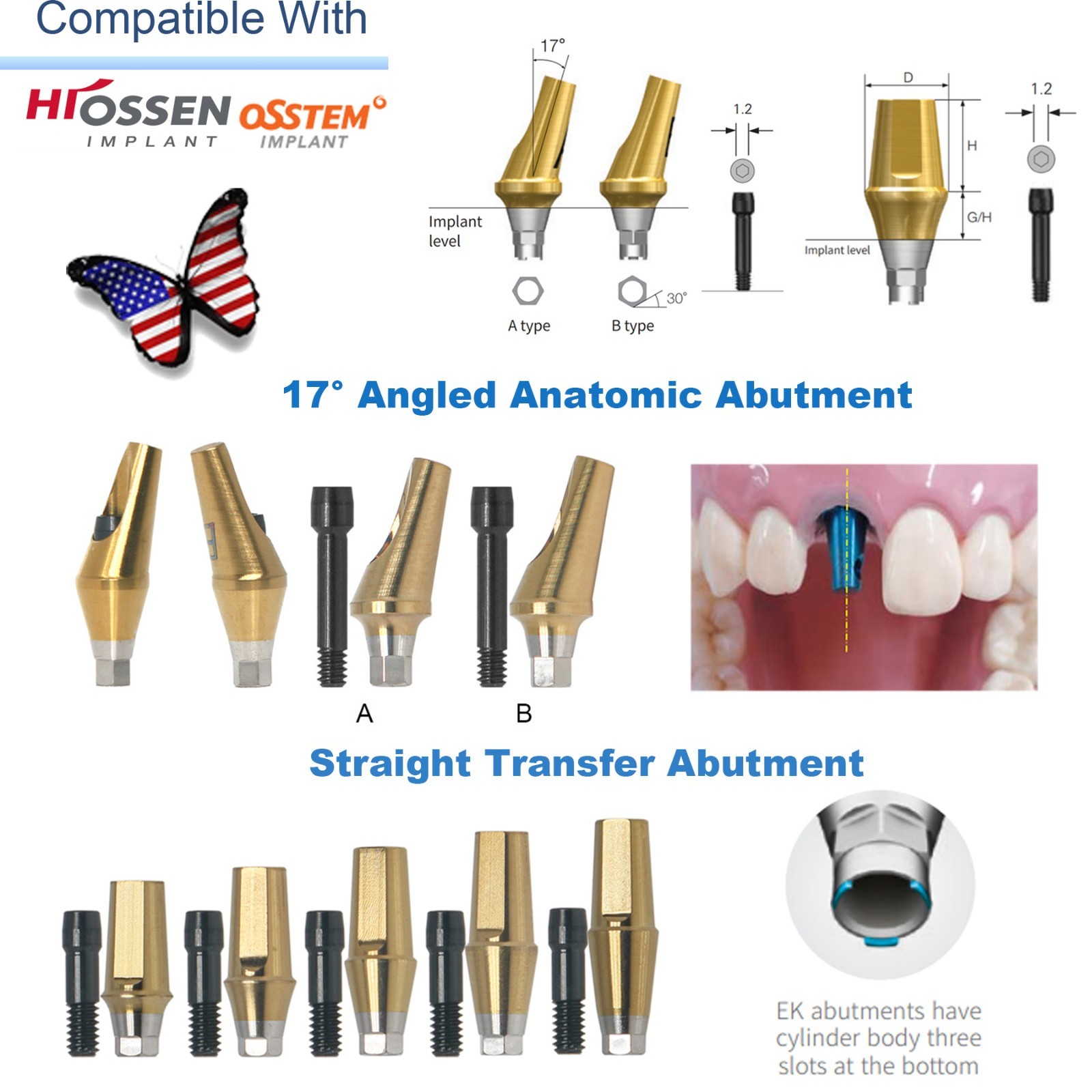 Titanium Straight & 17° Angled Transfer Abutment Compatible Osstem TS/Hiossen ET