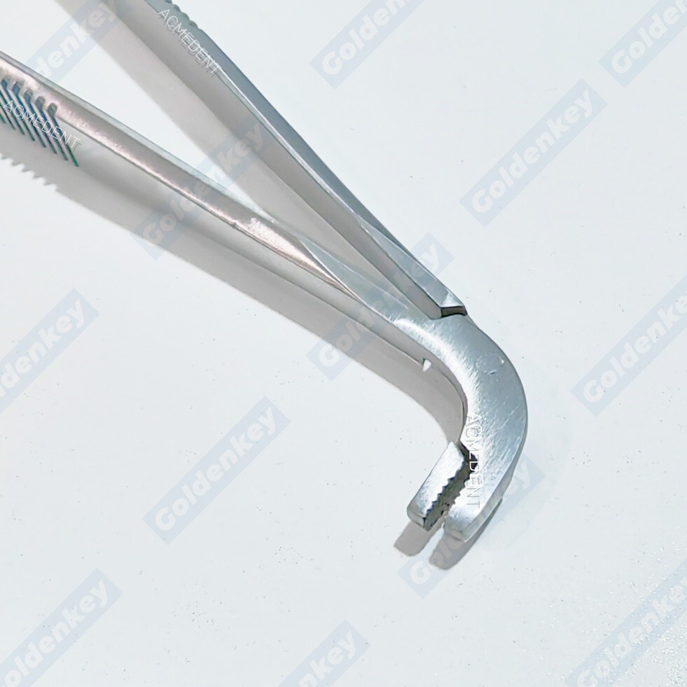 Dental Matrix Holder Clamp Matrices Tweezer Matrix Bands Forceps Placing Plier