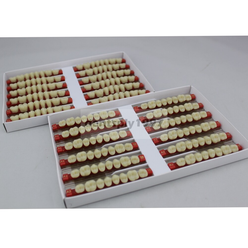 12sets Dental Acrylic Resin Denture Two Layer Posterior False Teeth Upper/Lower