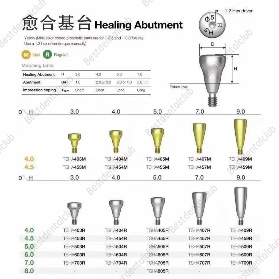 Dental Caps Healing Abutment Cap Mini/Regular Platform Fits Osstem Hiossen