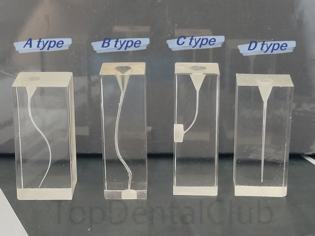 5Pcs Dental Endodontic Root Canal Teaching Study Model Transparent Block