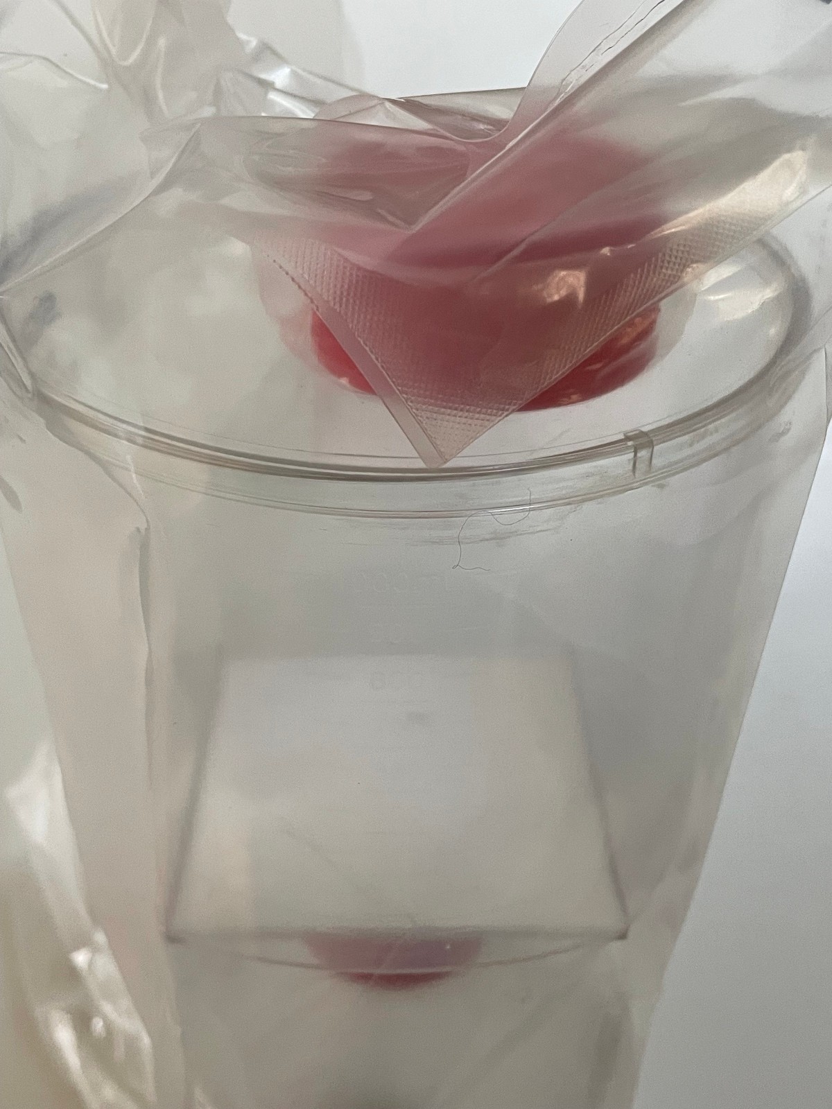 VACUUM FILTERS 1000mL – Nalgene 567-0020 + Sigma 1098 SIAL PES 0.2μm – LOT of 10