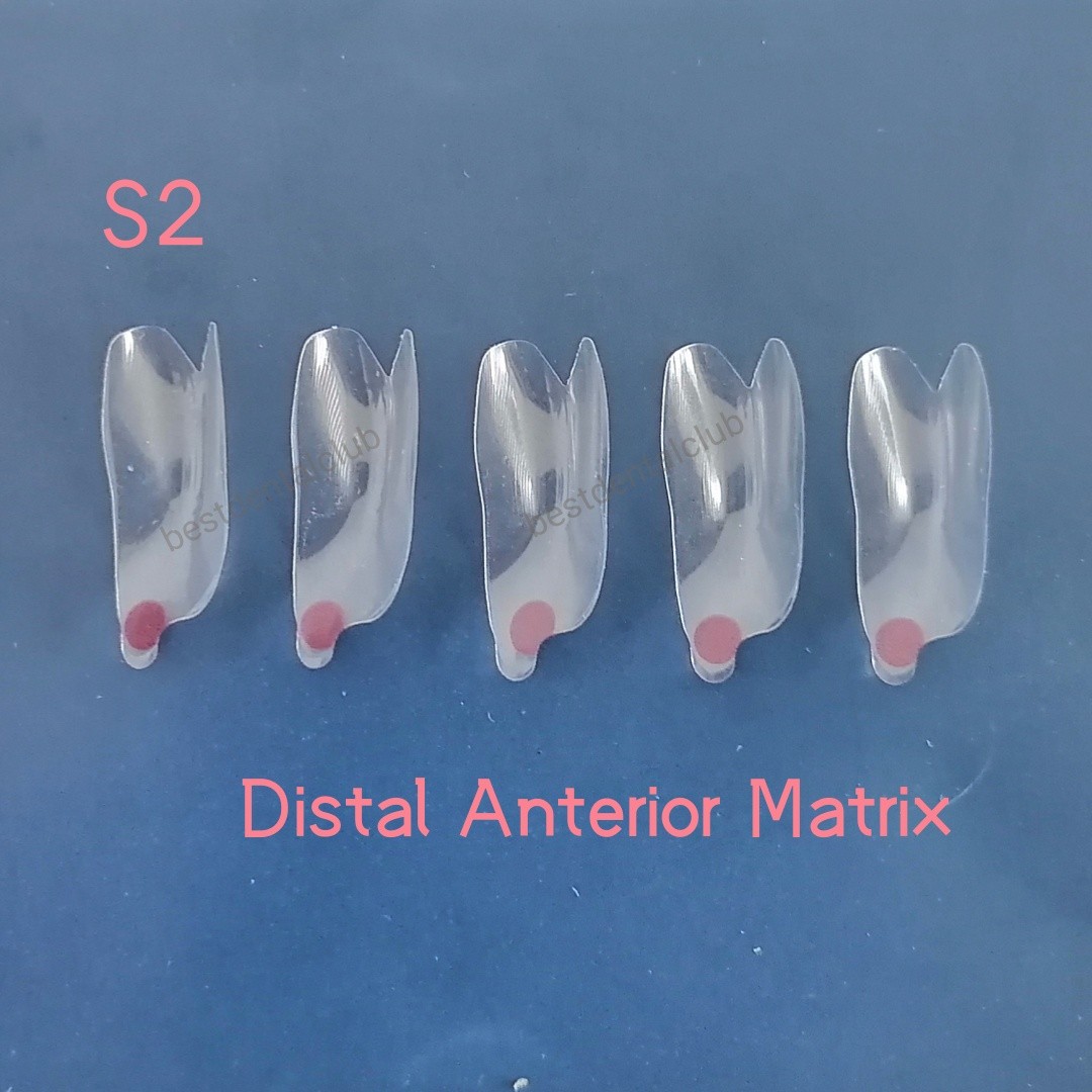 35pcs Dental Clear Matrix Anterior Restorative BT Bow Matrices Fit BioClear