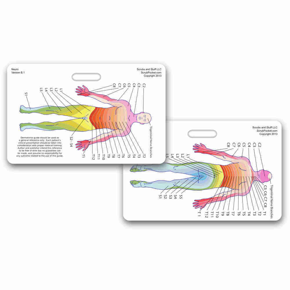 Neuro Dermatome Horizontal Badge ID Card Pocket Nurse RN EMT MA Paramedic LPN