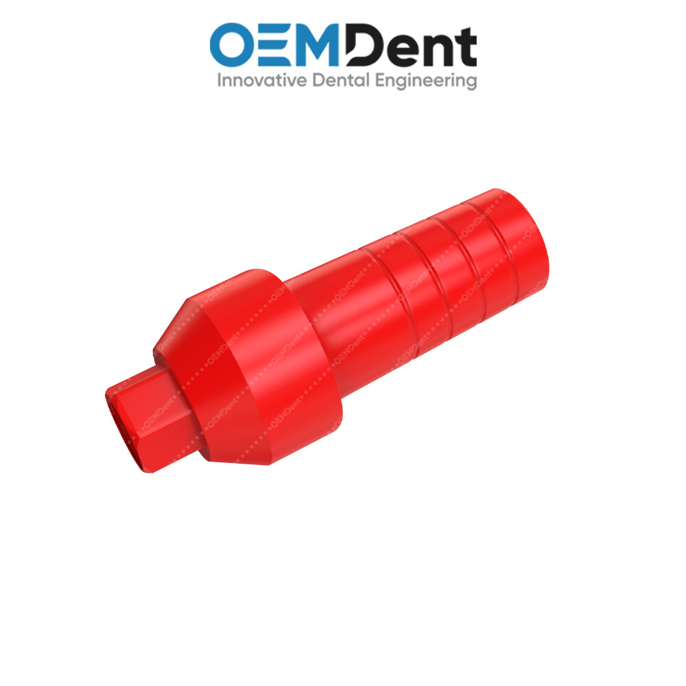 Straight Anatomic Fully Castable Prosthetic – Paltop® Int Hex 2.42mm Compatible