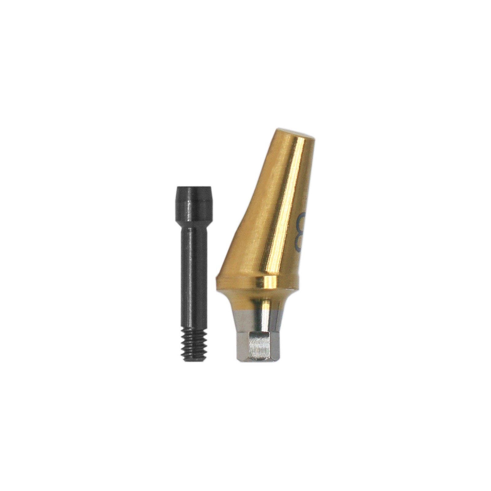 US Dental 17° Angled Anatomic Abutment Mini /Regular Fits Hiossen Osstem TS