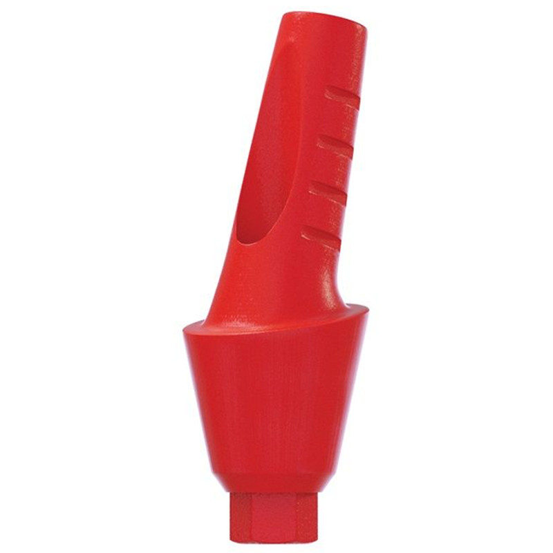 10 Angulated Anatomic Plastic Castable 15° UCLA Prosthetic Int Hex 2.42mm Dental