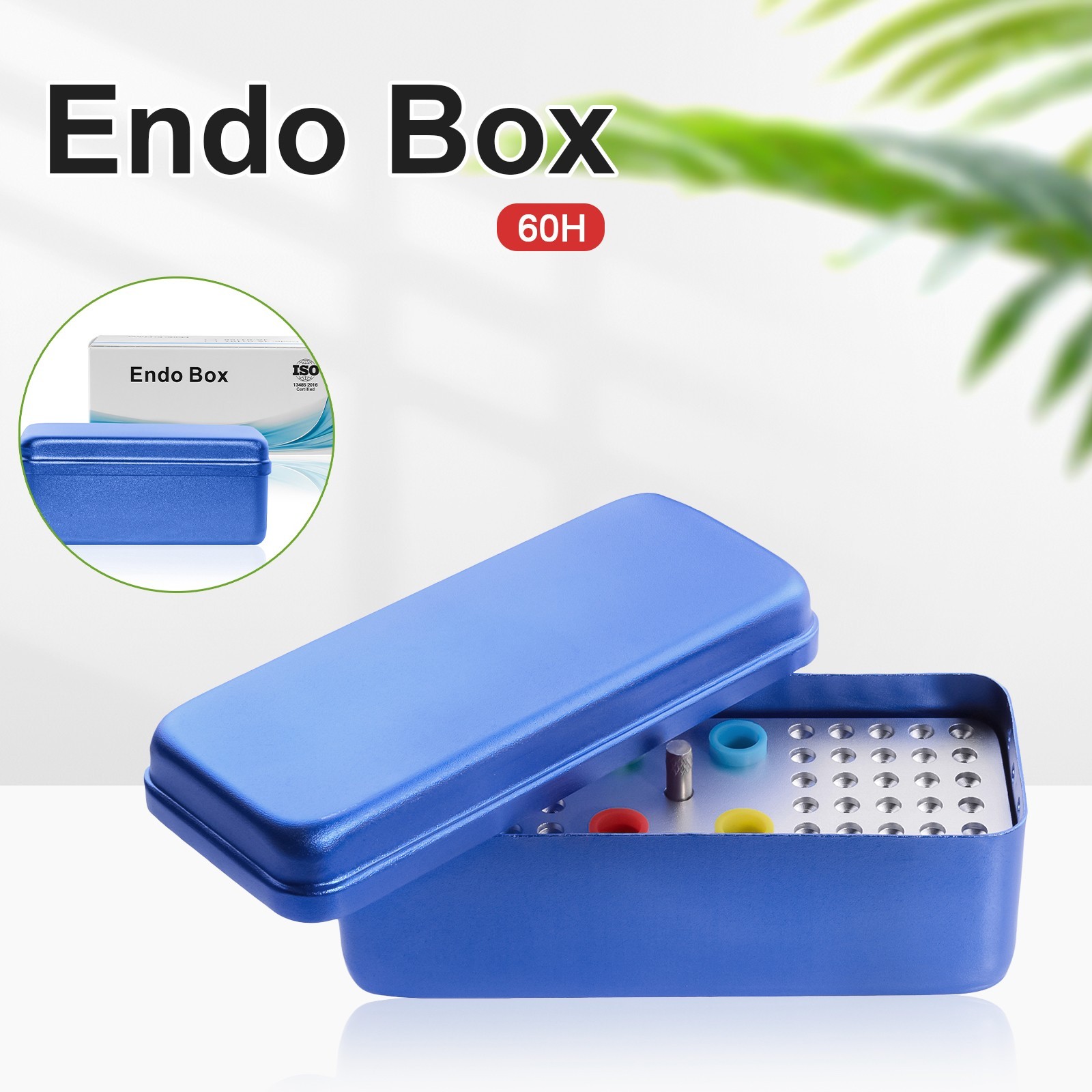 60 Holes Dental Root Canal Files Gutta Purcha Point Sterilization Box Holder USA