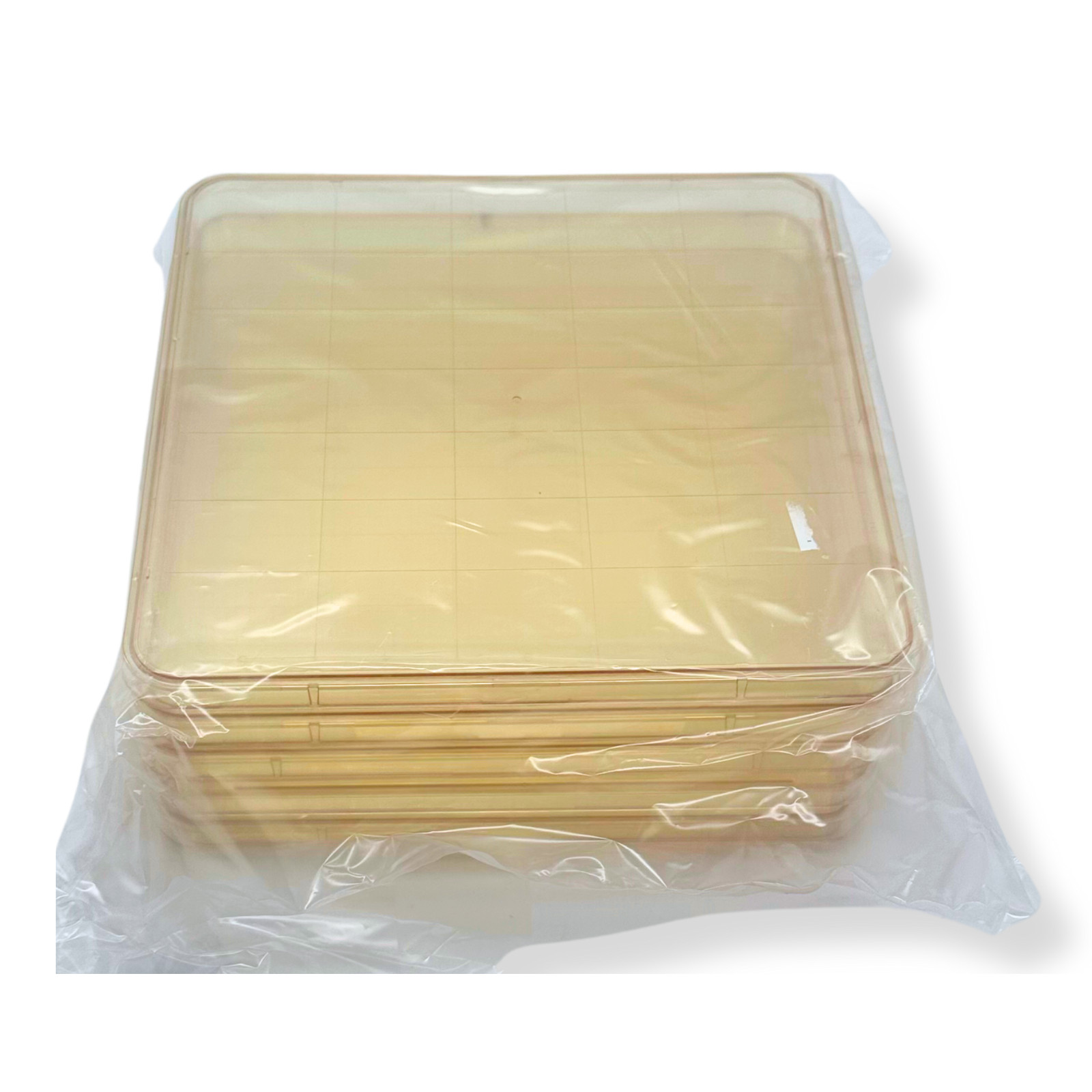 5pk Square BioAssay Dishes 241x20mm w/ Lids, Gridded, Clear | BD Falcon & NUNC
