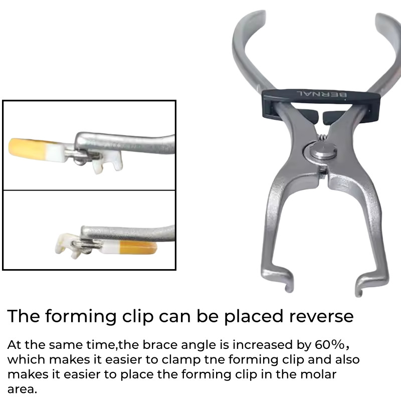 Dental Matrix Bands Ring Sectional Matrice Clamp Wedges Pliers Fit Garrison