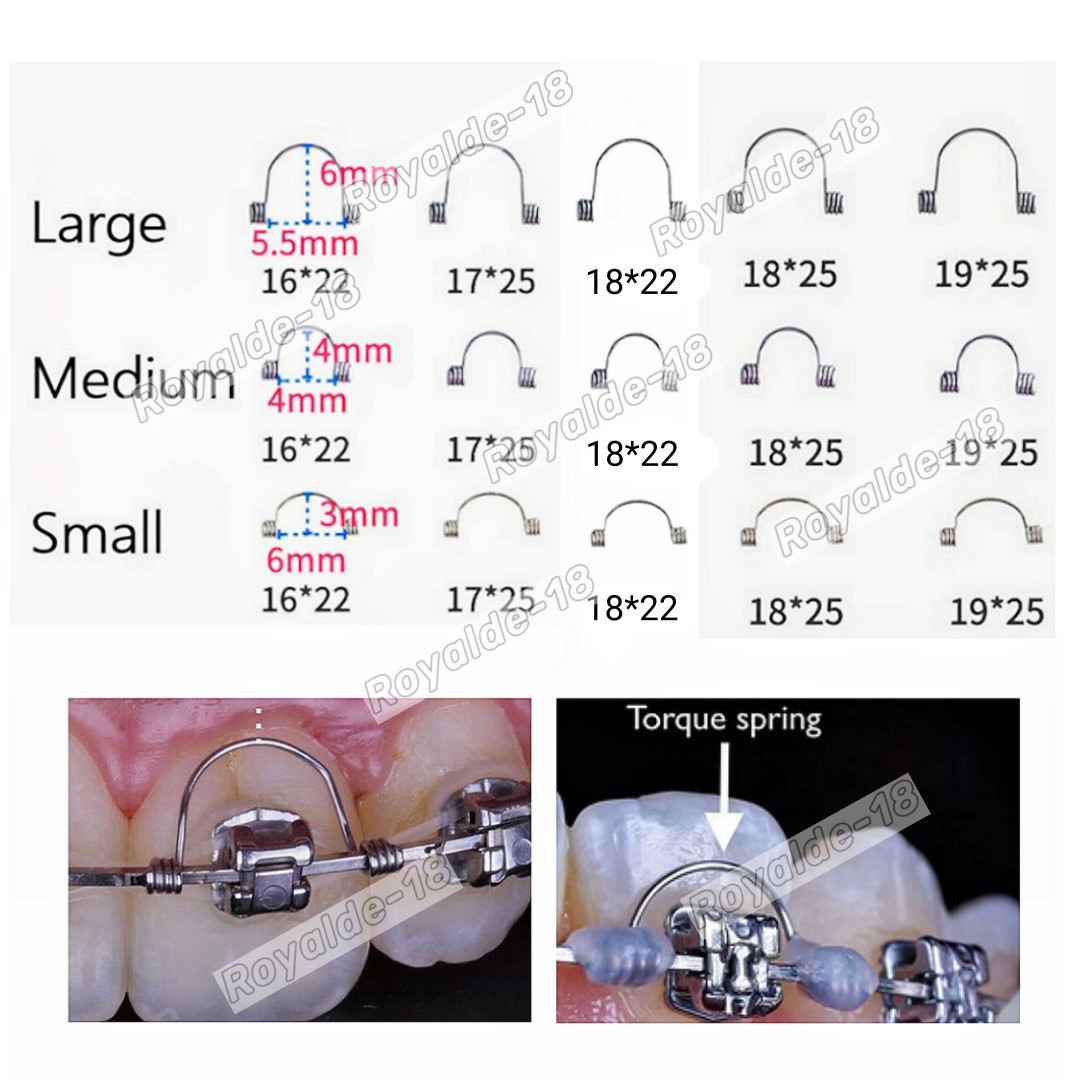 Dental Orthodontic Torquing Rectangular Anterior Teeth Springs Arch Wire Trorque