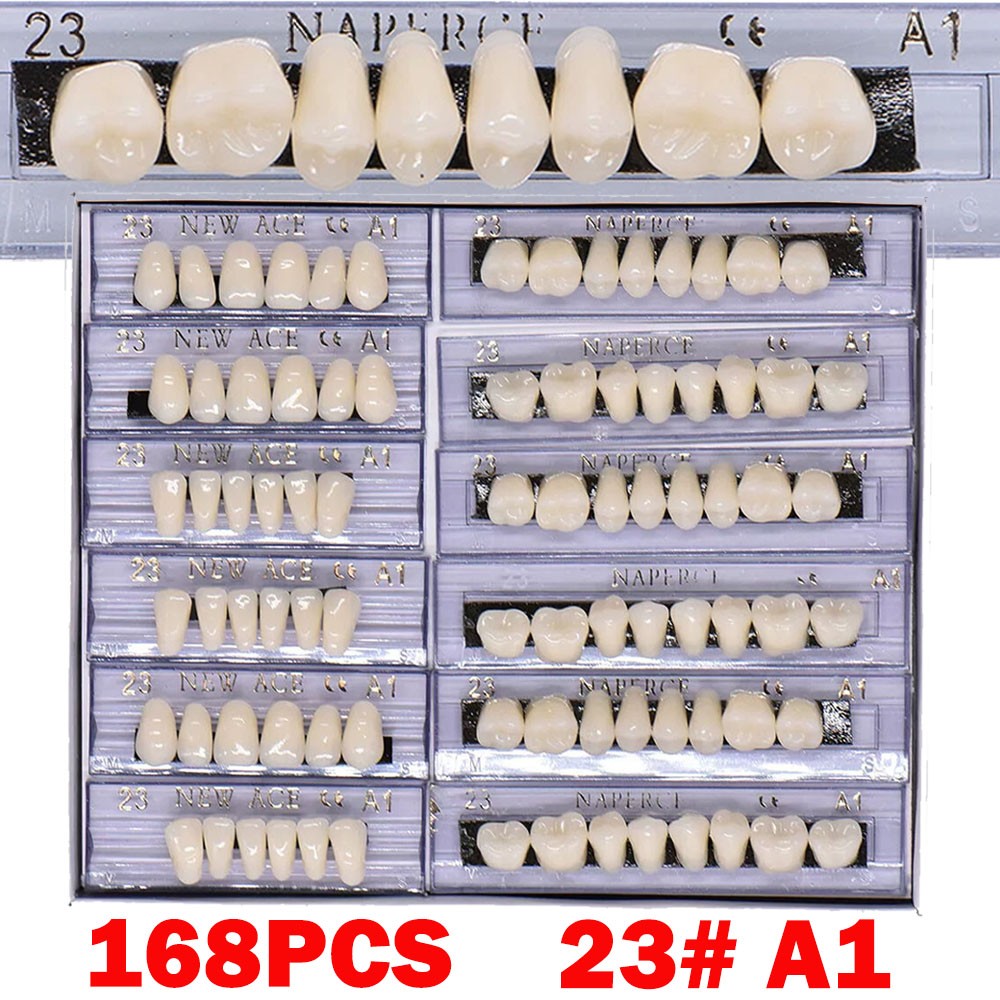 168Pcs Dental Acrylic Resin False Teeth 23# Shade A1 Denture Full Upper Lower US