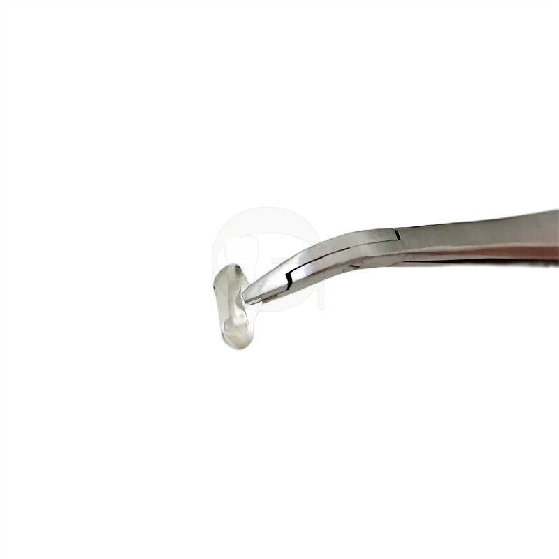 2Pcs Dental Matrix System Plier Matrices Placment Forceps Insert Clear SS Bands