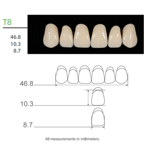Huge Kaili Synthetic Polymer Teeth Upper Anterior Shade A2 Full Box 16sets/6pcs