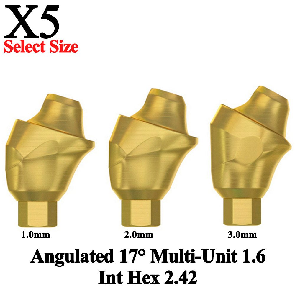 5pcs Prosthetic Angulated 17° Multi-Unit 1.6 Int Hex 2.42 Connection Dental Lab