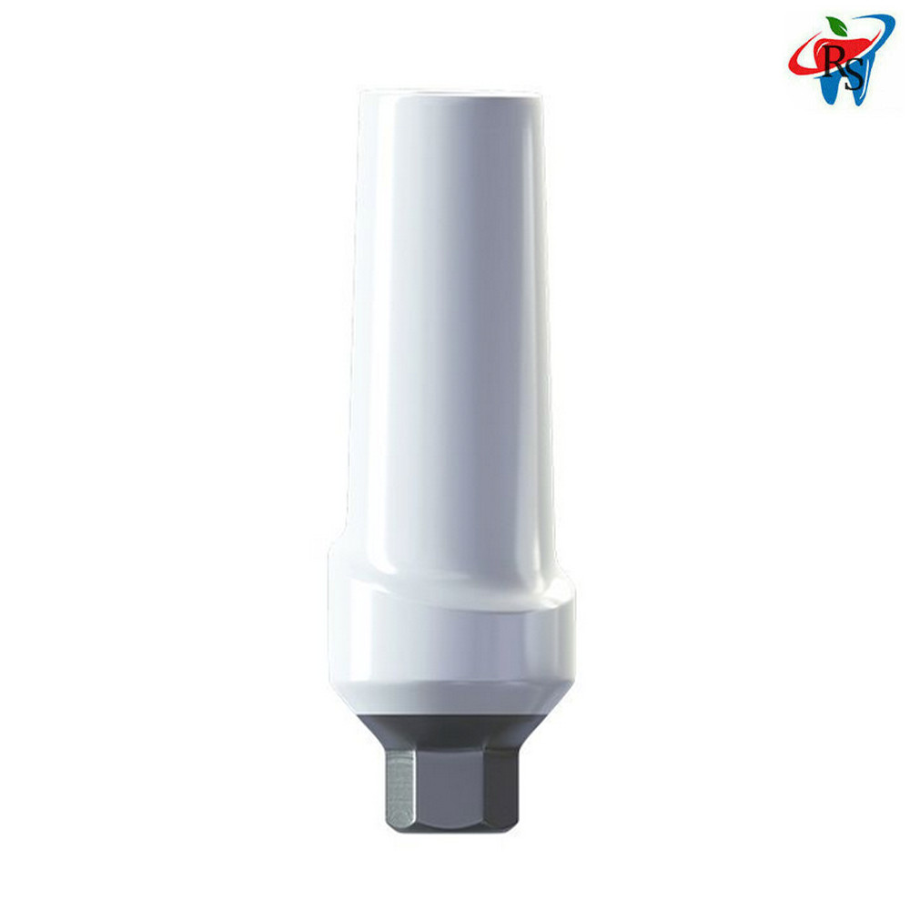 1pcs Dental Prosthetic Anatomic Zirconia Straight Abutment NP Internal Hex 2.0