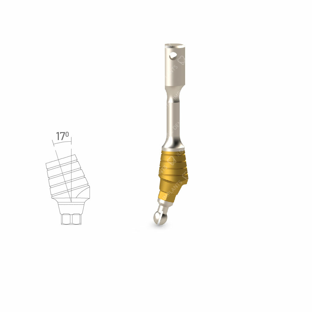 Gauge Indicator SET: Straight, 17°, 30° DIO® UF II™ RP – Dental Implant Tools
