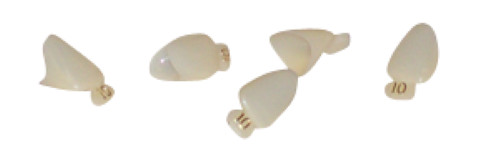 Polycarbonate Crowns, #10, 5/Box, Mark3, 100-P10