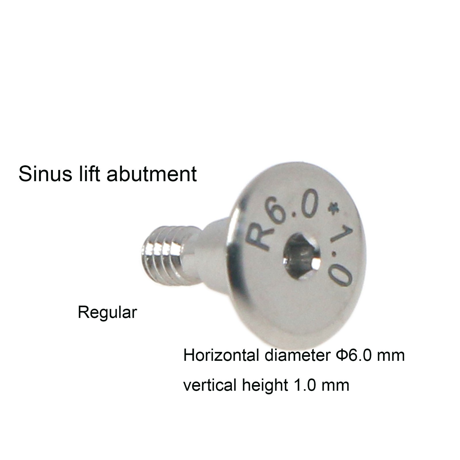 CAD/CAM 3D Implant Lab Analog Sinus lift temporary abutment Fits Hiossen/osstem