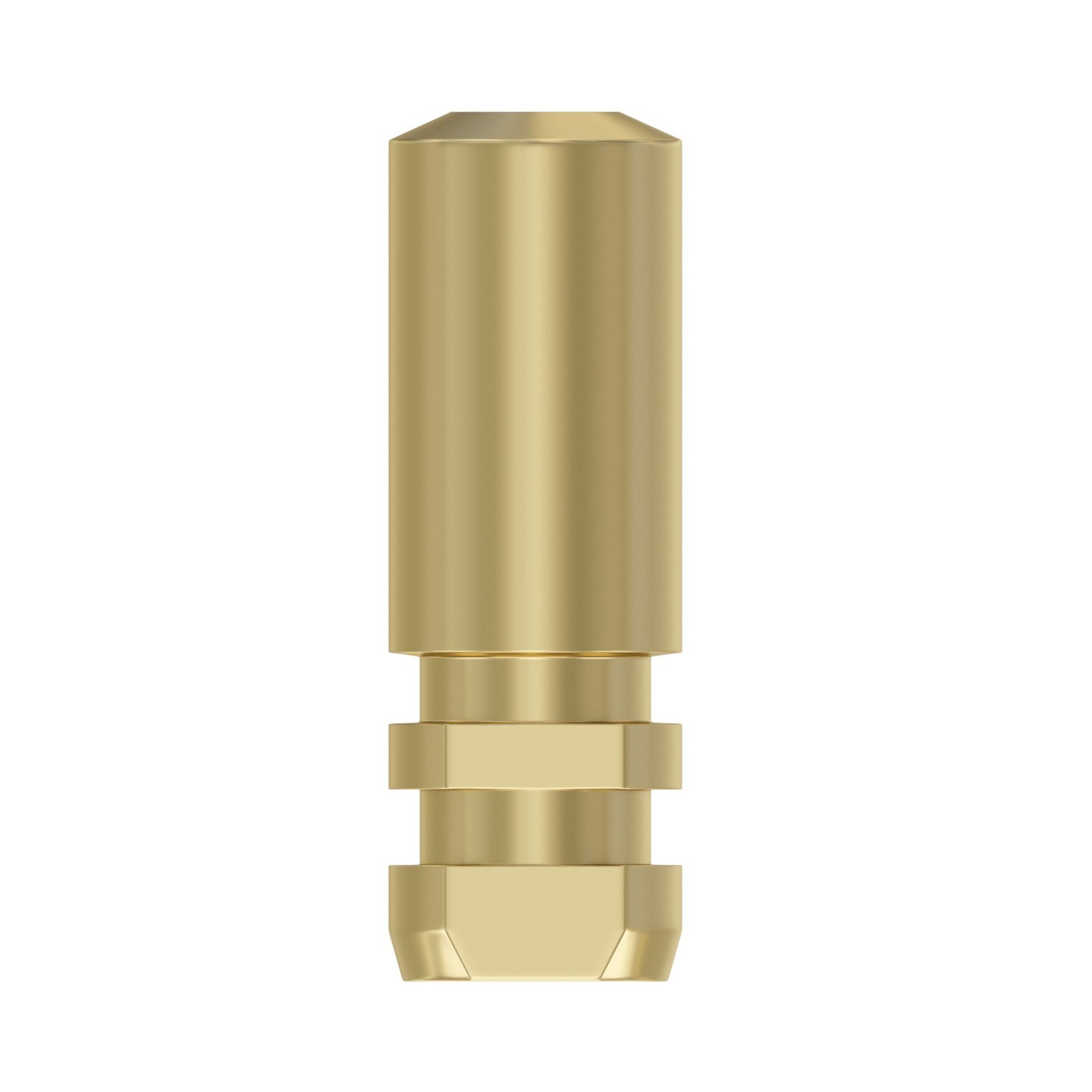 10x Straumann BLX® Compatible Analog Ø5.5/6.5mm WB Lab Fixture Replica