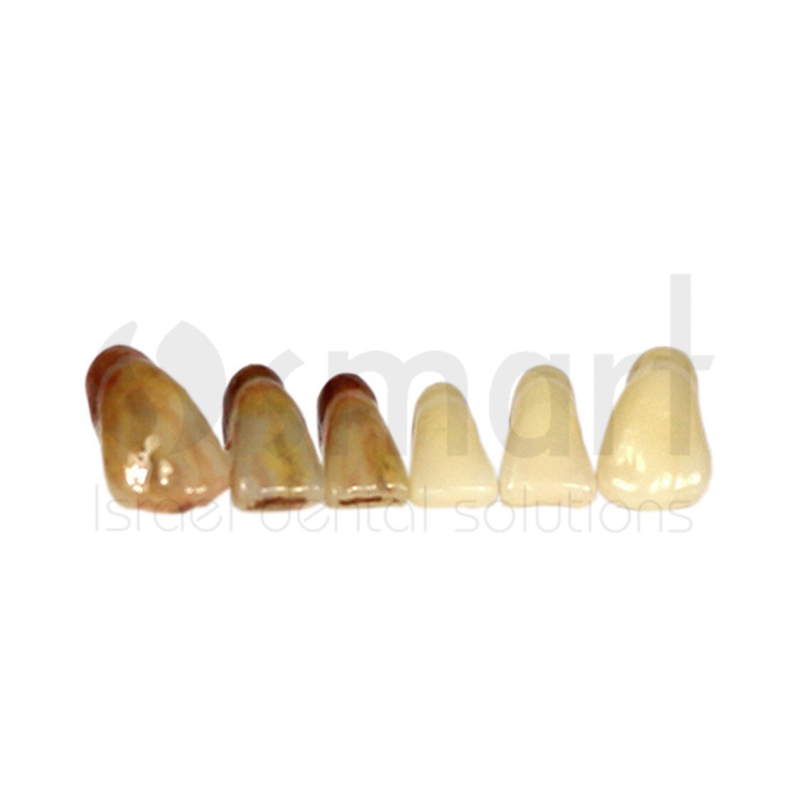 Dental Stain Color teeth shade acrylic liquid resin system Blue 10 ml Israel