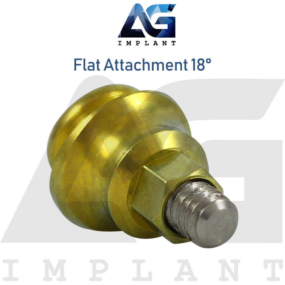 Angled 18° Flat Attachment Standard Silicone Set Titanium Int Hex 2.42mm