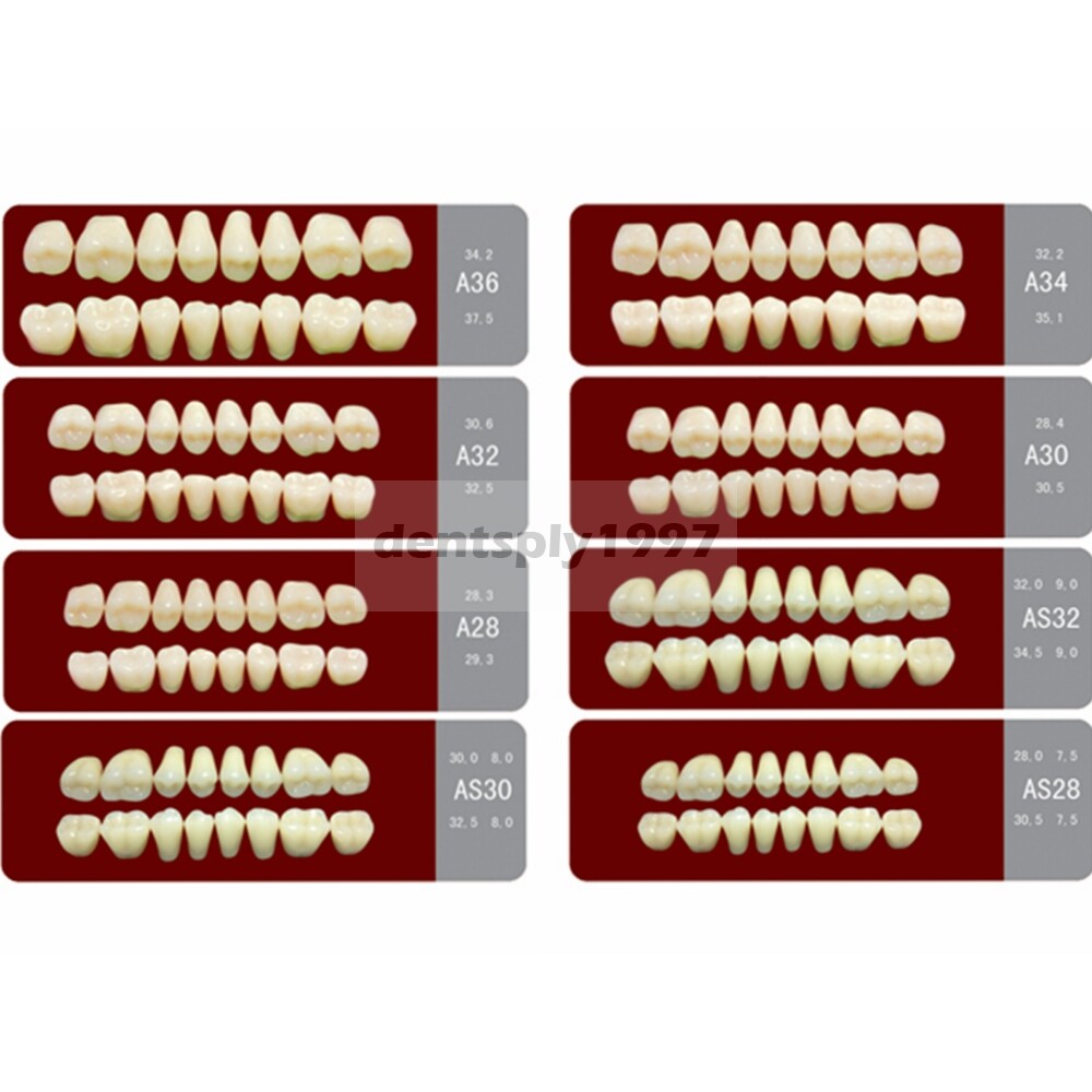 12sets Dental Acrylic Resin Denture Two Layer Posterior False Teeth Upper/Lower