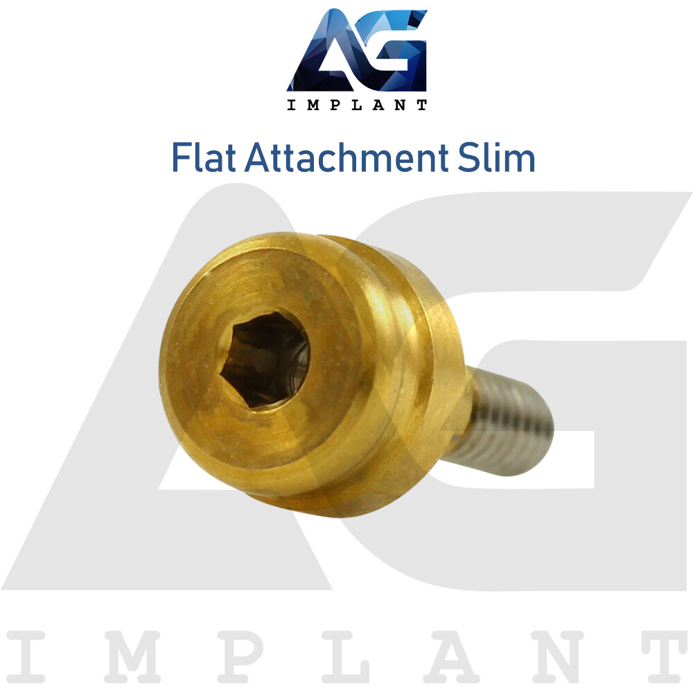 Slim Platform Straight Flat Attachment Standard Set Titanium Int Hexagon 2.0