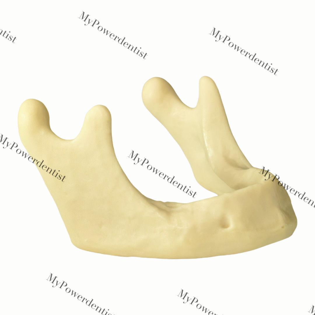 Dental Embed Mandible Jaw Model for Basic Drilling Insertion Practice M2022