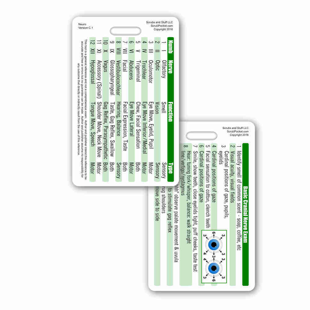 Cranial Nerves Vertical Badge ID Card Pocket Nurse RN EMT MA Paramedic LPN