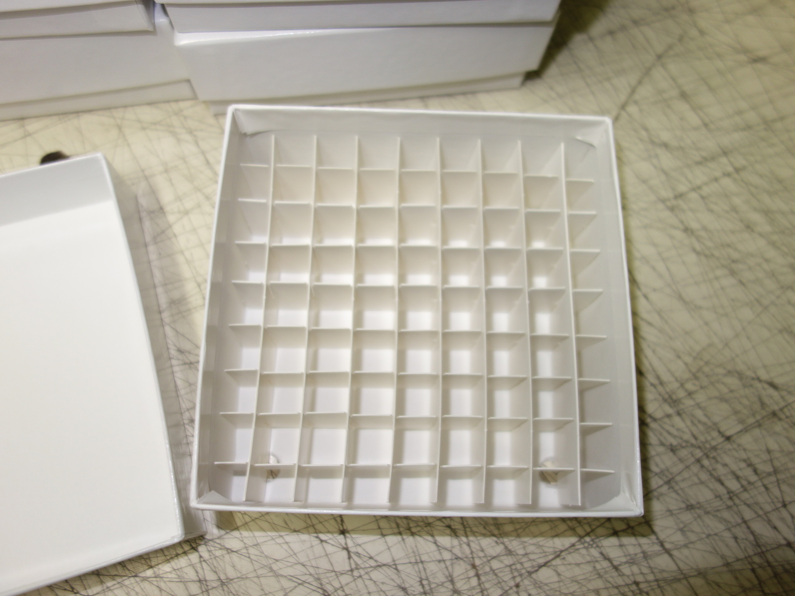 Fisher Scientific 03-395-464 Cryo Freezer Box 5x5x2 w/Cell Divider * Case of 10x