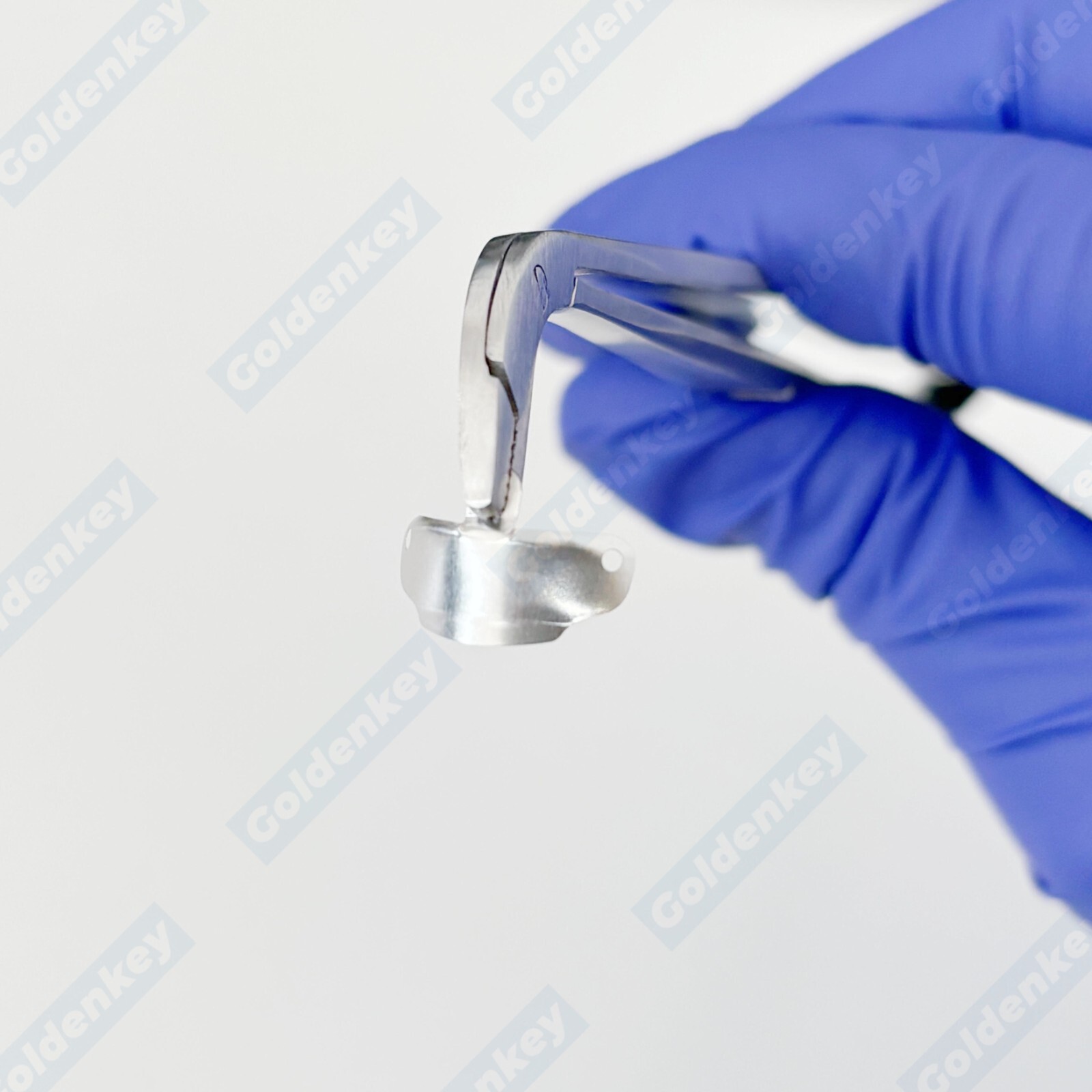 Dental Matrix Forceps Holder Clamp Matrices Tweezer Matrix Bands Placing Plier