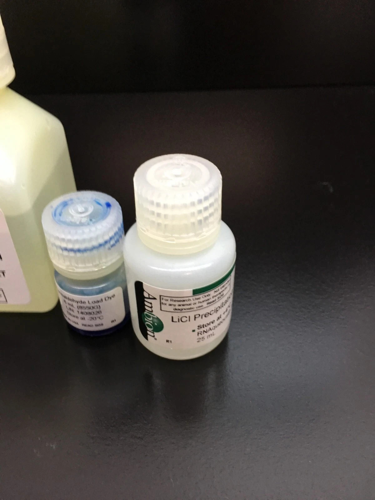 Thermo Scientific Ambion REF AM1911 RNAqueous Midi Total RNA Isolation Kit