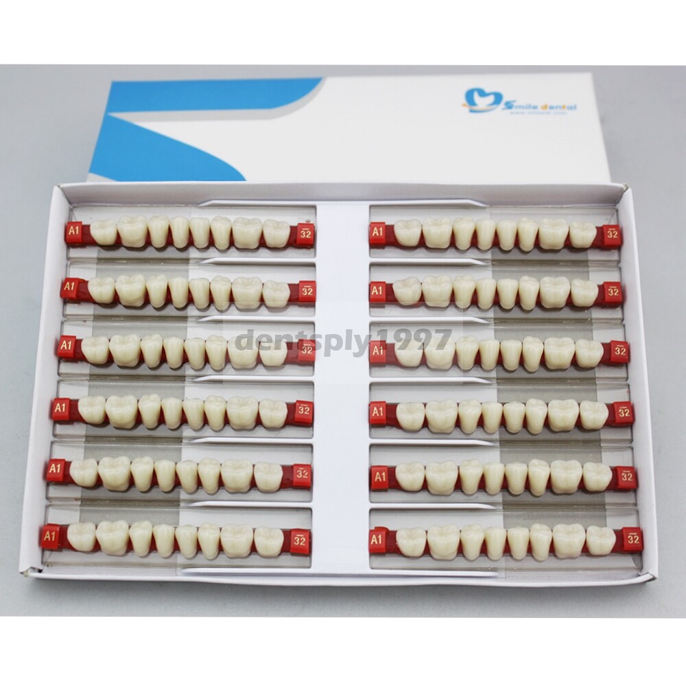 12sets Dental Acrylic Resin Denture Two Layer Posterior False Teeth Upper/Lower
