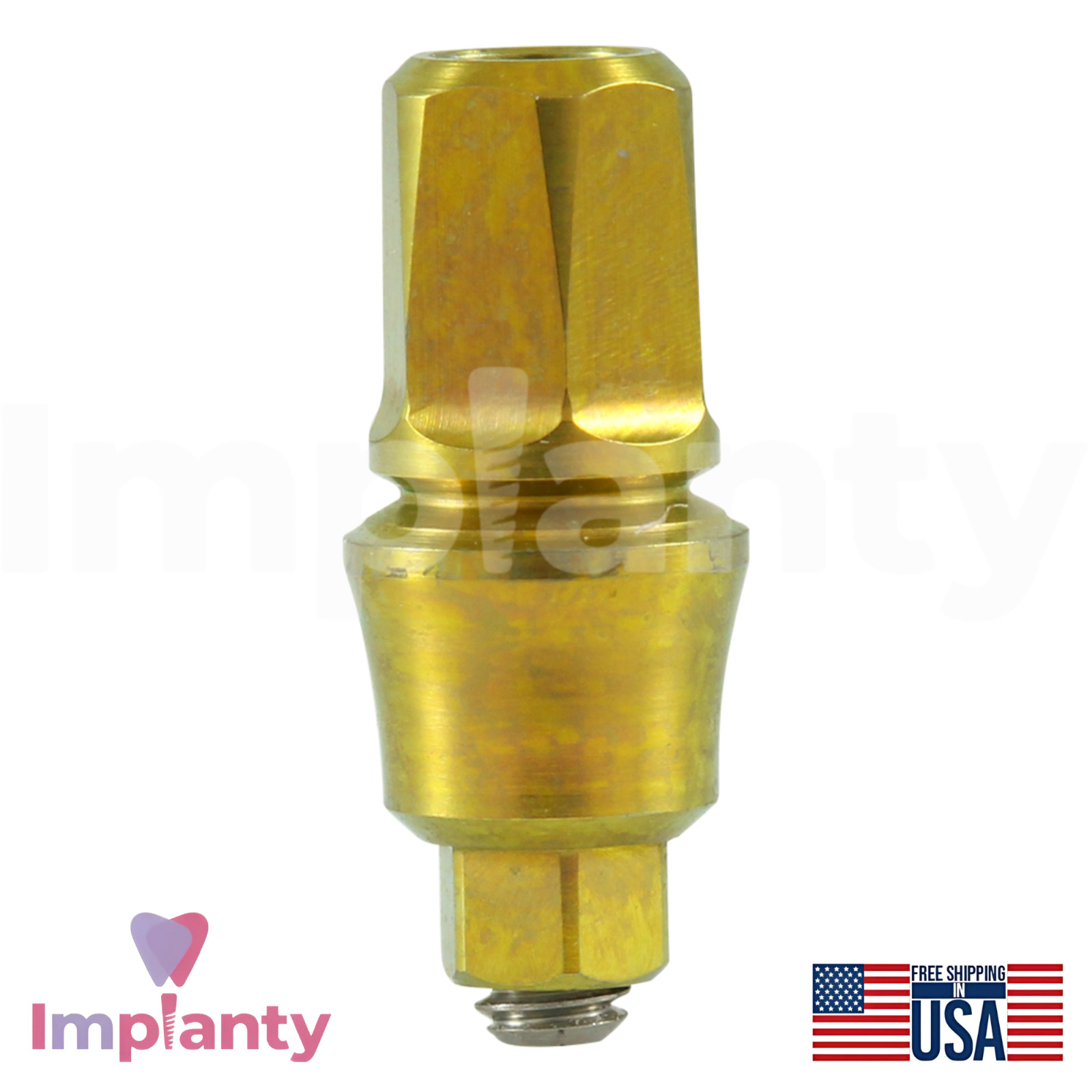 GDT Concave Anatomic Dental Titanium Prosthetics Kit Int Hex 2.42mm Connection