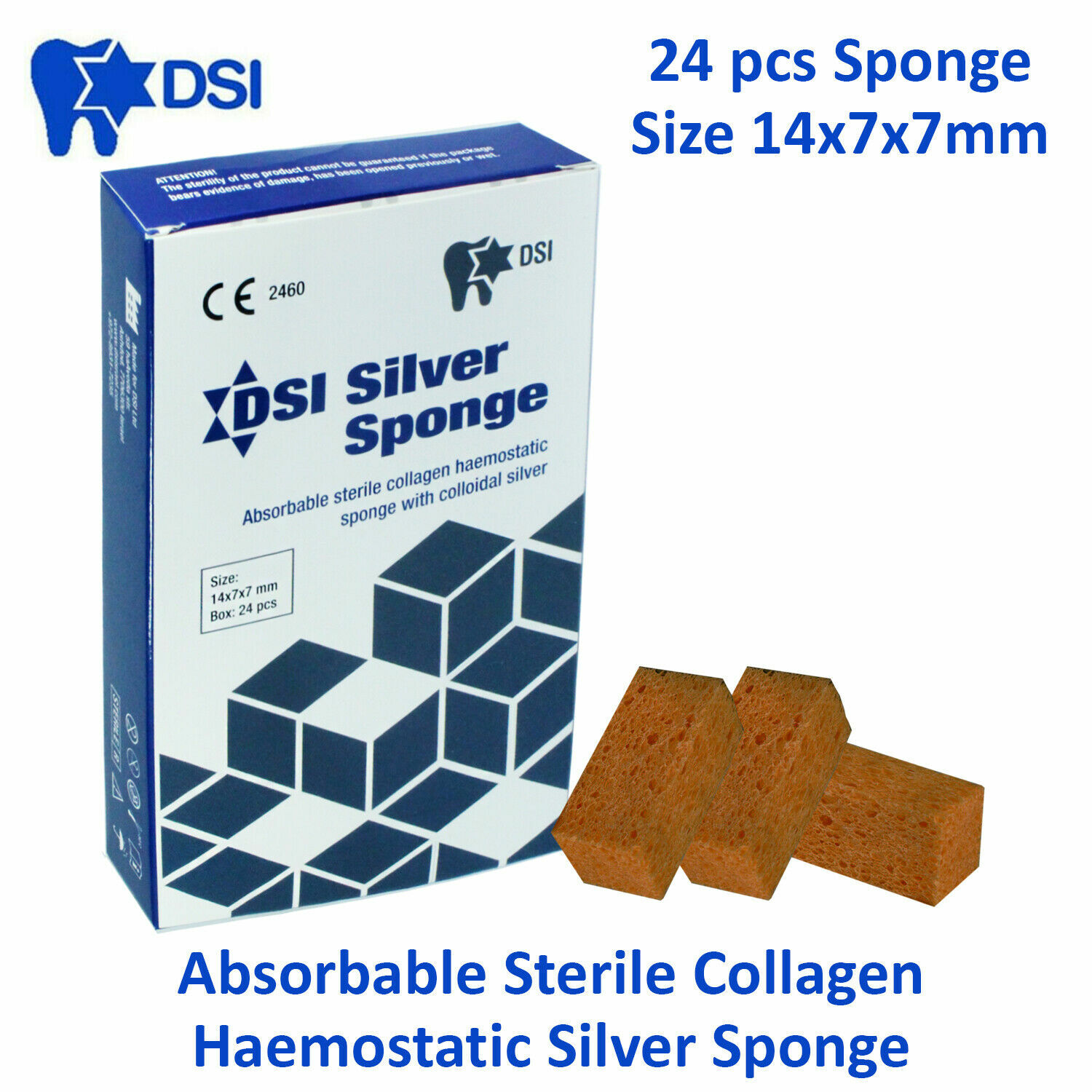 Dental SILVER Absorbable Hemostatic Gelatin Sponge 24 pc Gelfoam Extractions