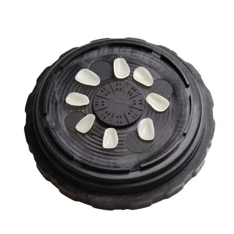 Dental Box Adults Veneer Storage Box Black Porcelain Pretreatment Tooth Cleaning