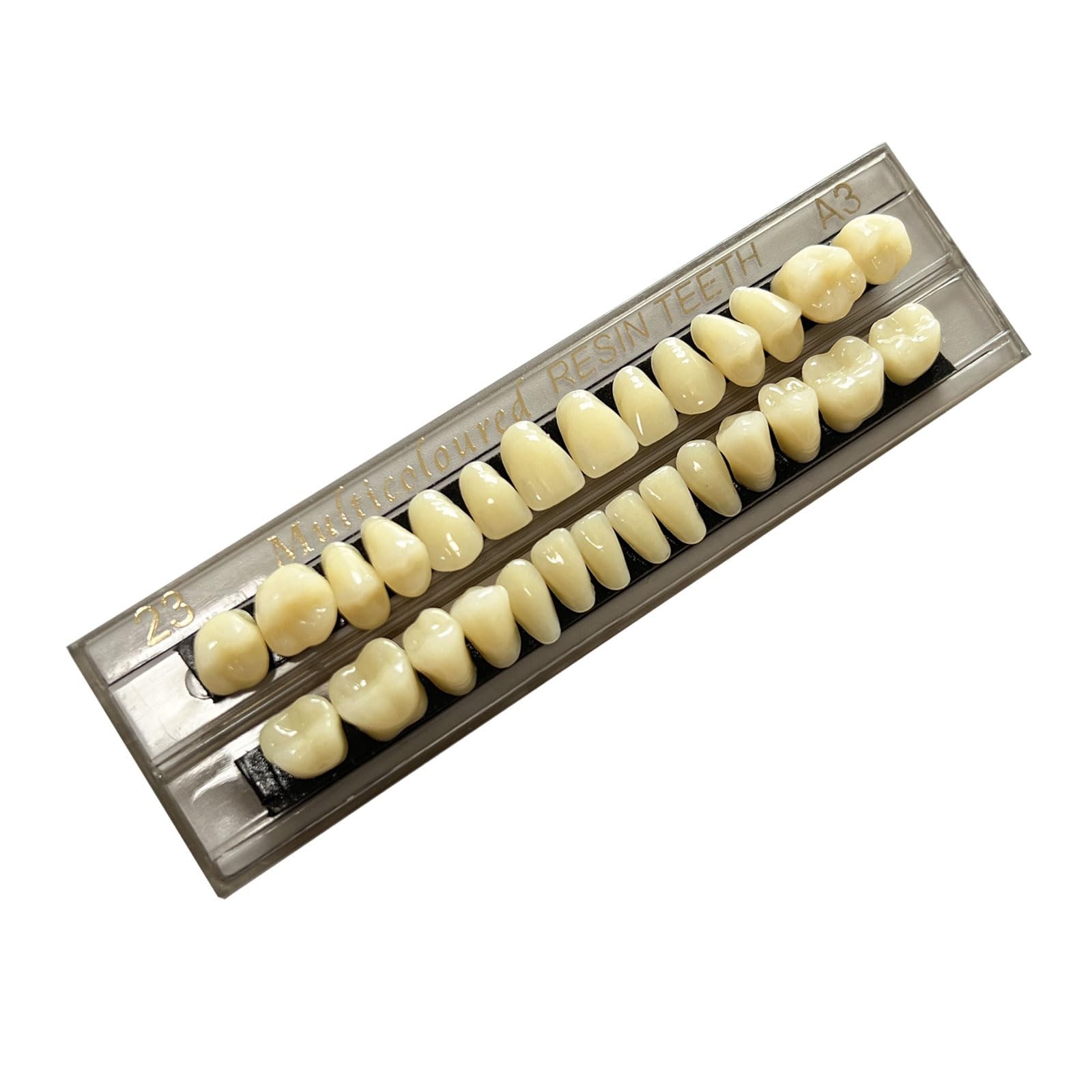 56 Pieces False Teeth Acrylic Resin Denture Tooth, Tooth 23 A3