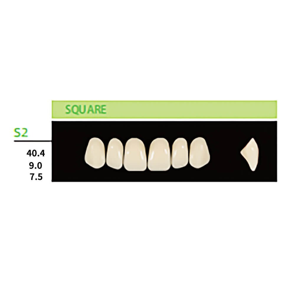 Denture Teeth, Synthetic Resin Upper S2 Square Anteriors in A2 Shade