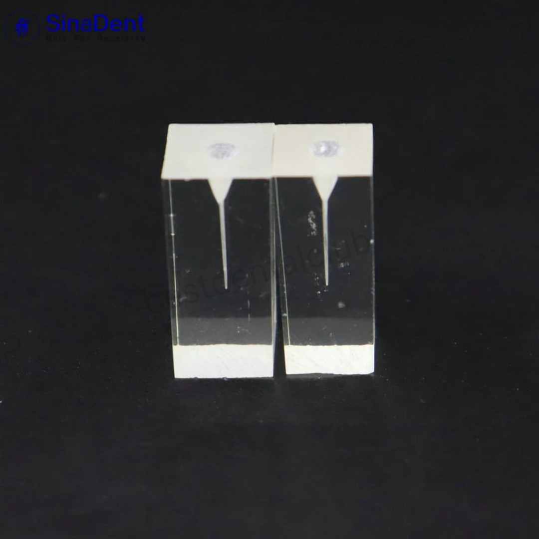 Dental Model Rotary Files Practise Block Endo Path File Training Clear