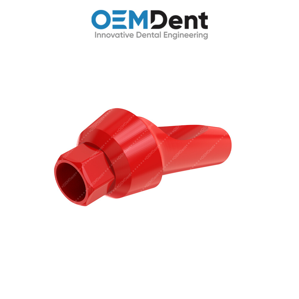 Angulated Anatomic Castable Prosthetic 25° – Paltop® Int Hex 2.42mm Compatible