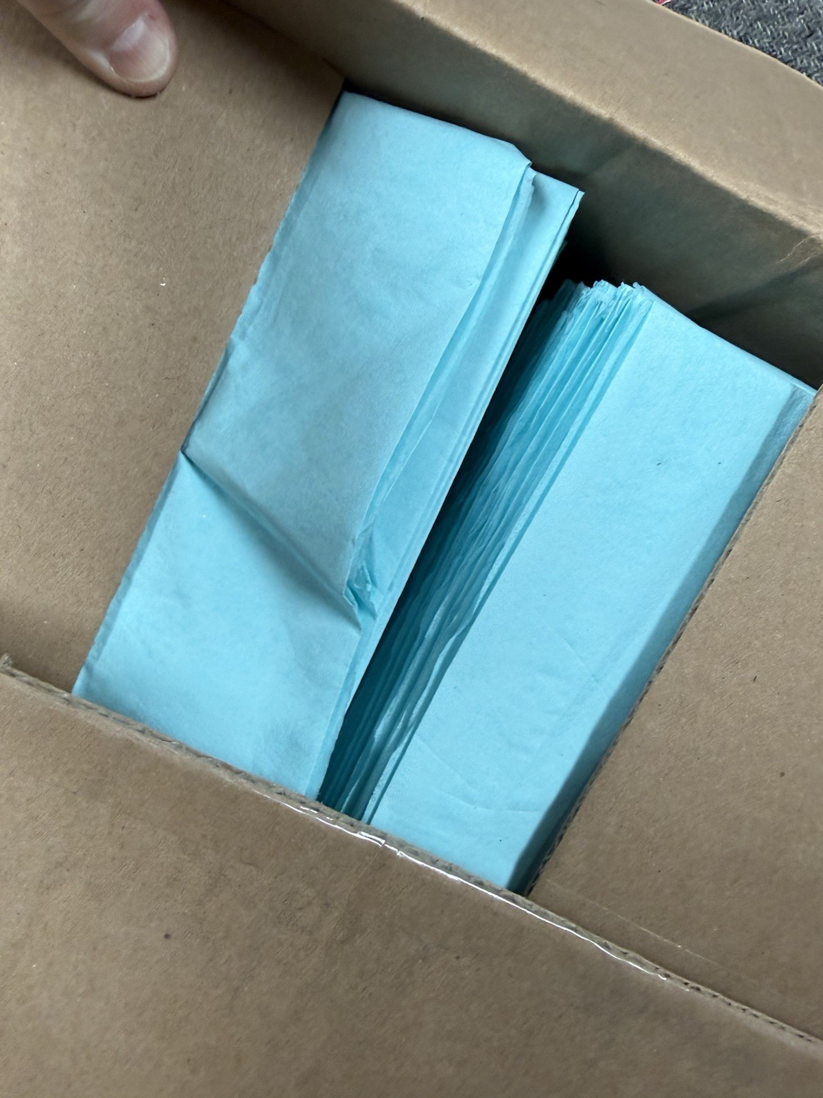 Tidi 919353 Pillow Cases Blue 21″ X 30″ 100 Per Case New