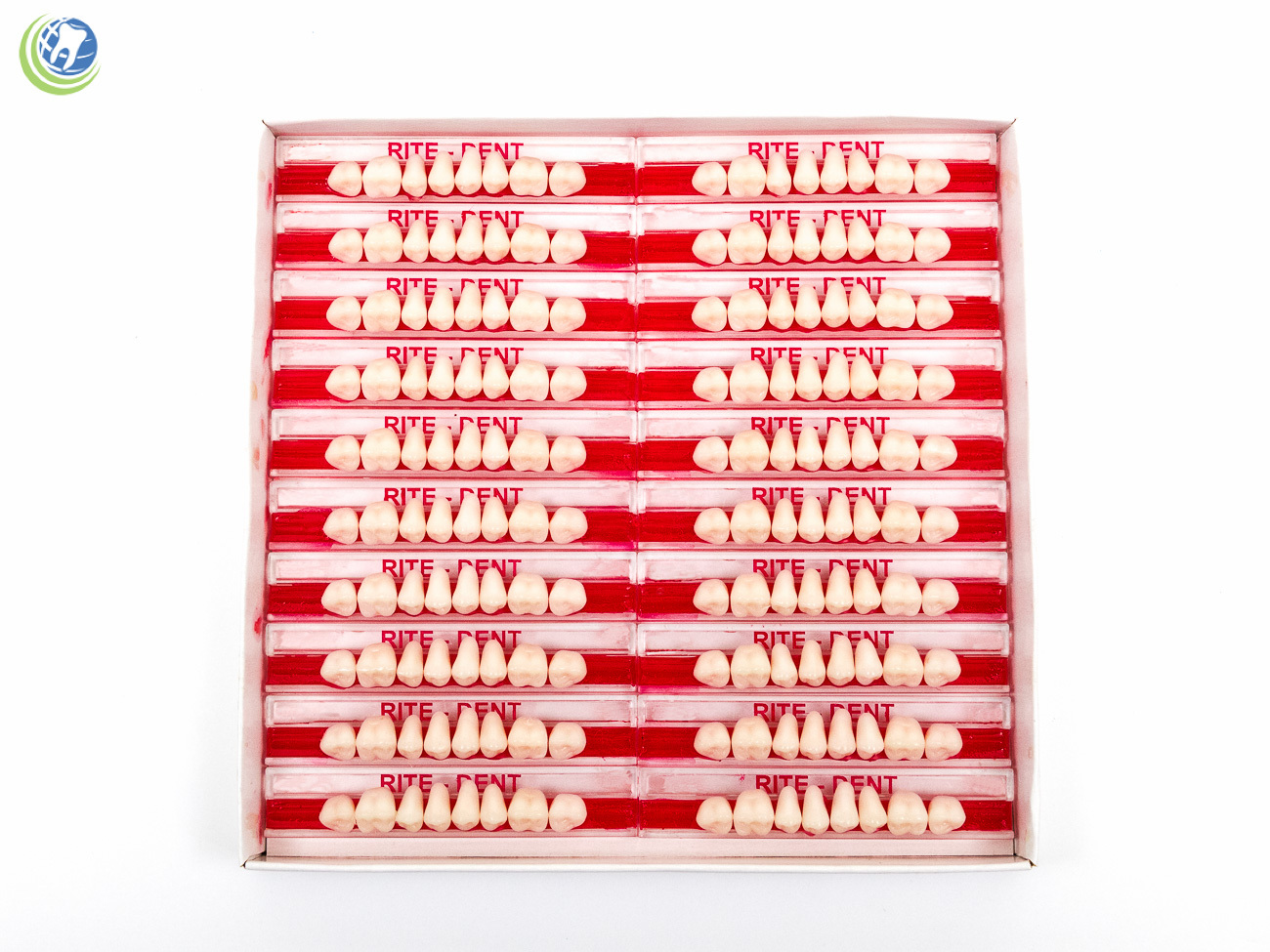 Dental Lab Upper Posterior Acrylic Resin Molars Various Sizes & Shades 160/Box