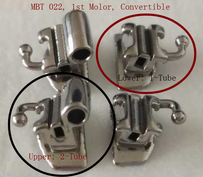 Dental Convertible Buccal Tubes Single Double Triple Ortho 1st Molor MBT/Roth